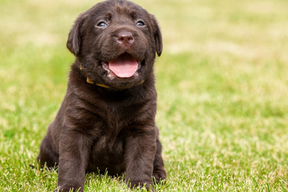 xr:d:DAGCd GCuKA:,j:,t: