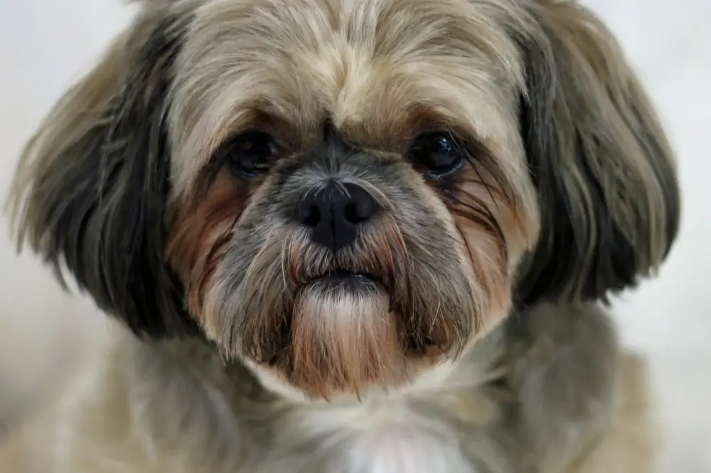 xr:d:DAF uGjizR:,j:,t: