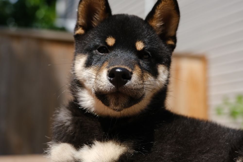 xr:d:DAGBV tDBZk:,j:,t: