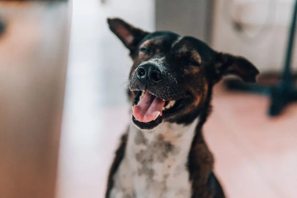 La importancia de una alimentación adecuada