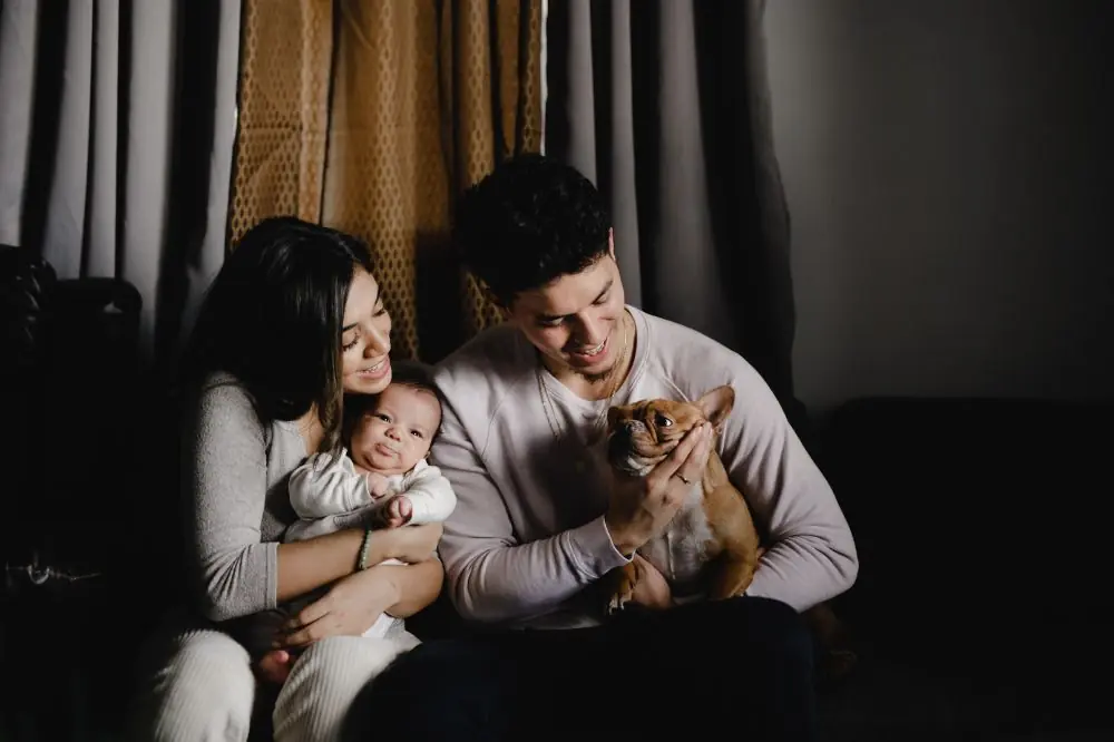 Los perros pueden mejorar tu salud física