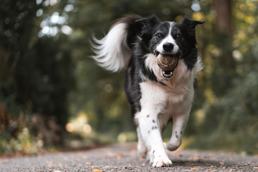 Mantén un entorno limpio