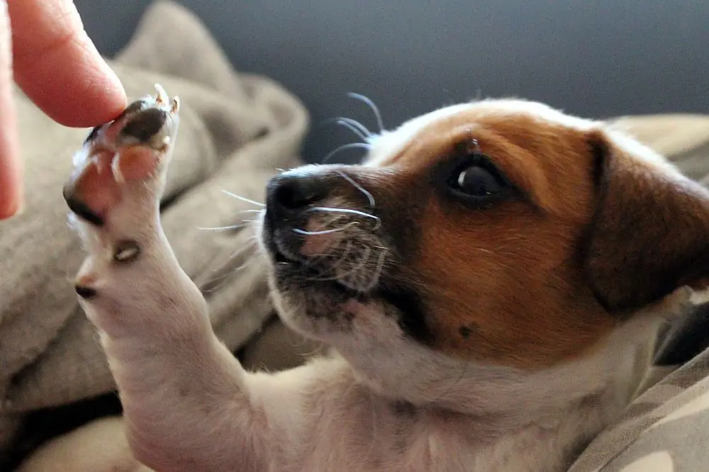 xr:d:DAGBbMToY:,j:,t: