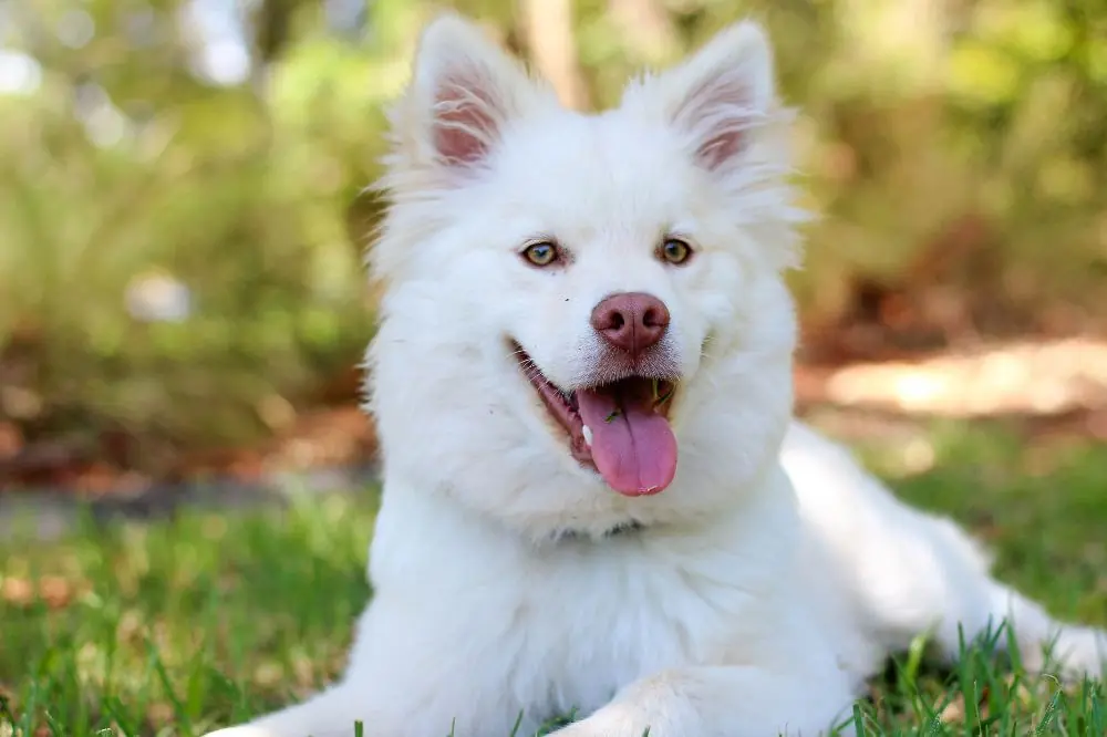 xr:d:DAGBWKoSQV:,j:,t: