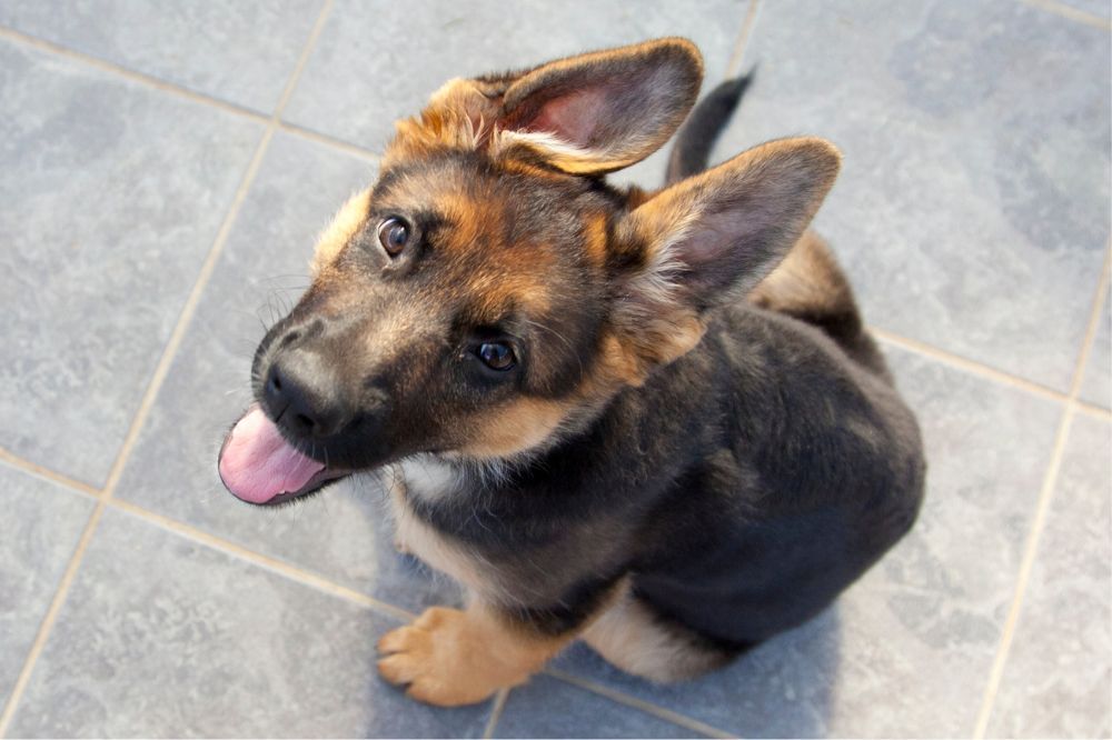 xr:d:DAFqftiuc:,j:,t: