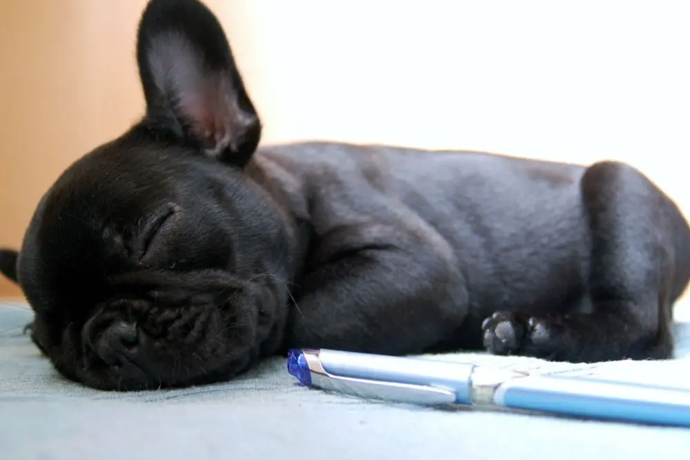 xr:d:DAGBV tDBZk:,j:,t: