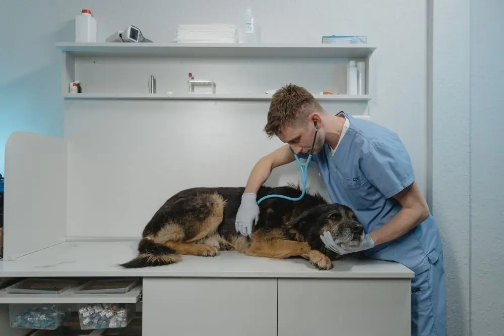 xr:d:DAGCd GCuKA:,j:,t: