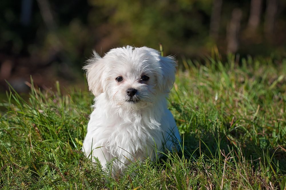 xr:d:DAGBV tDBZk:,j:,t: