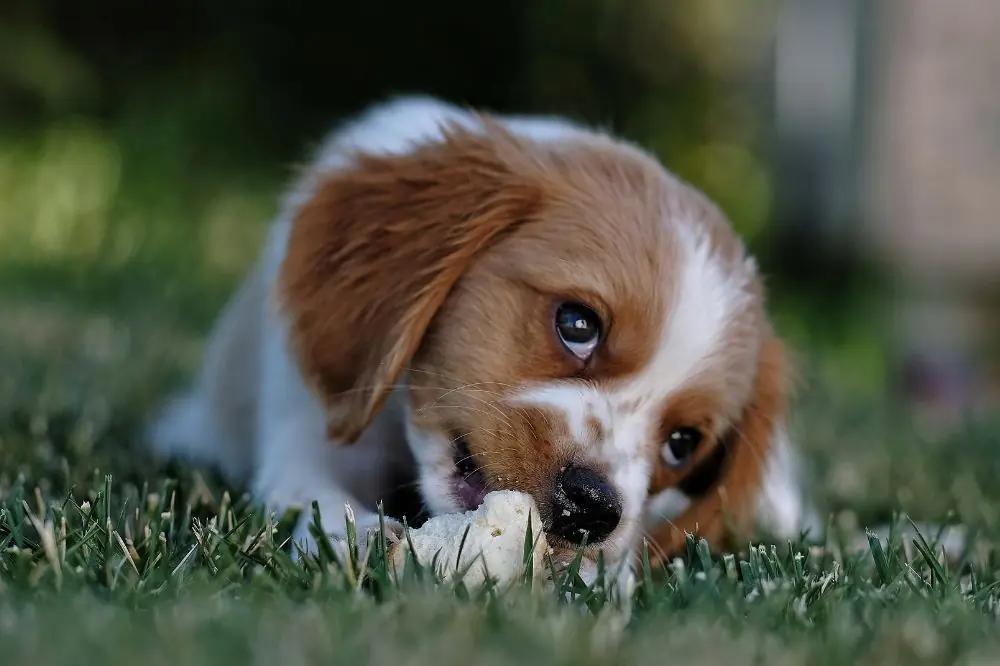 xr:d:DAGBWKoSQV:,j:,t: