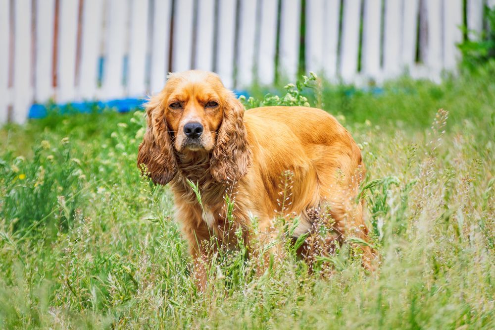 xr:d:DAF Kcqo:,j:,t: