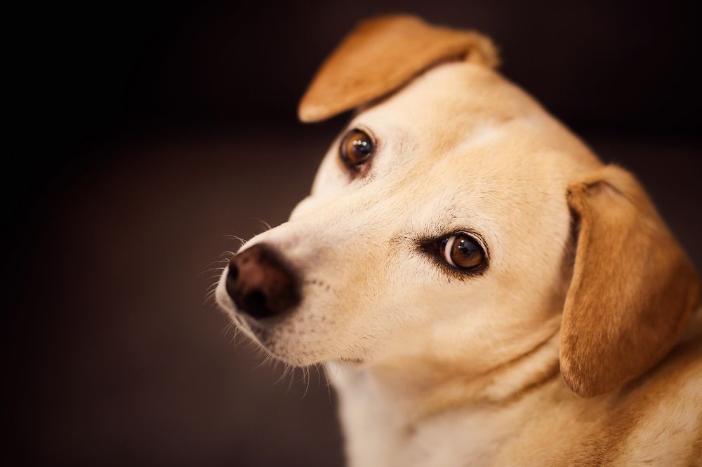 xr:d:DAGBiFSCoqQ:,j:,t: