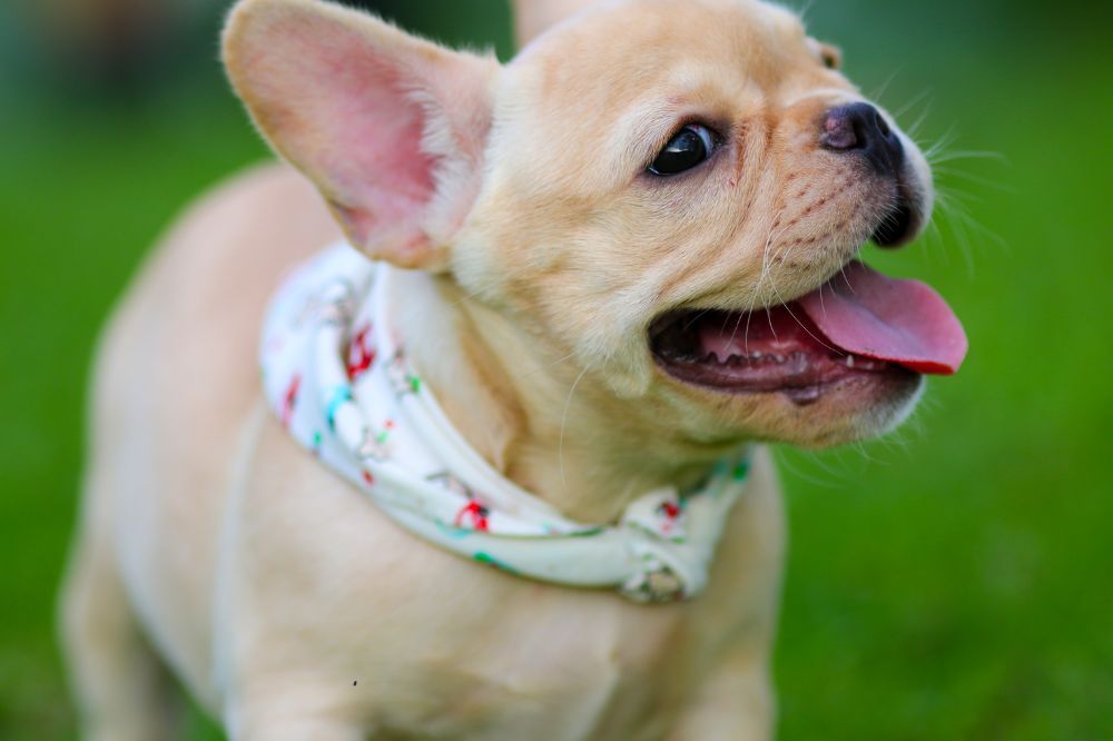 xr:d:DAGBV tDBZk:,j:,t: