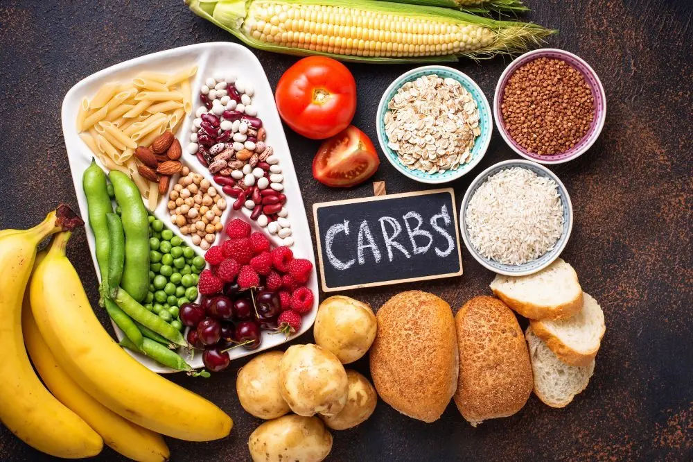 Análisis detallado de los carbohidratos en la alimentación canina