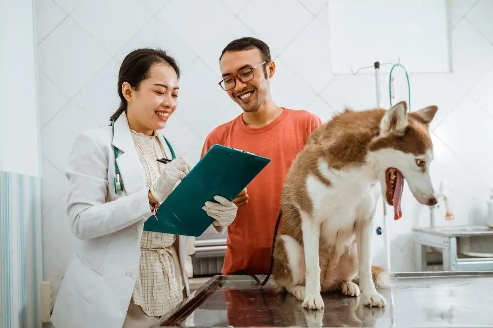 ¿Cómo se realiza la desparasitación interna?