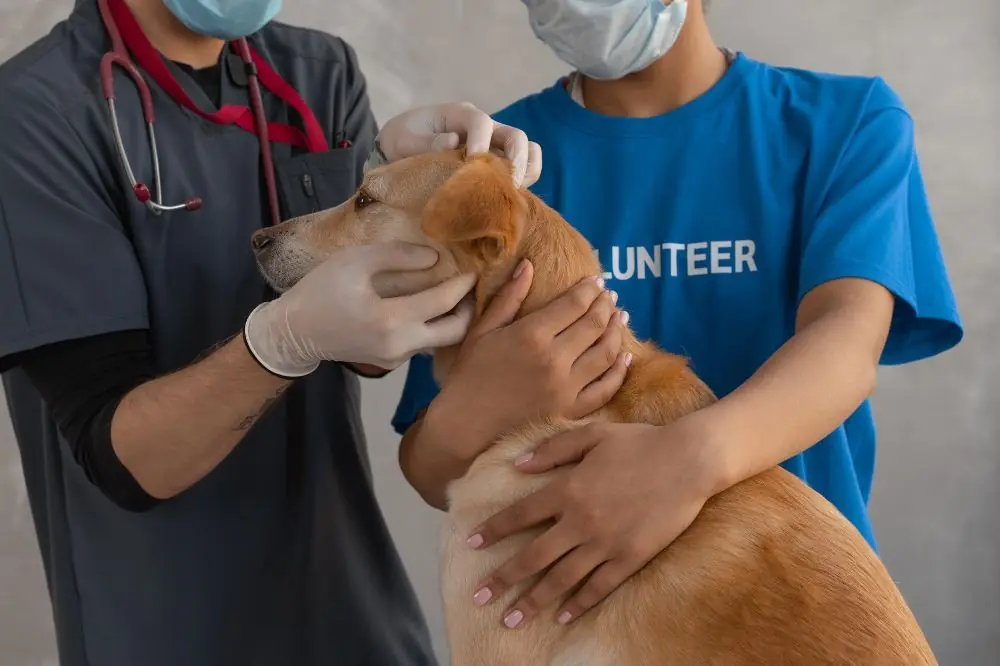 xr:d:DAGCd GCuKA:,j:,t: