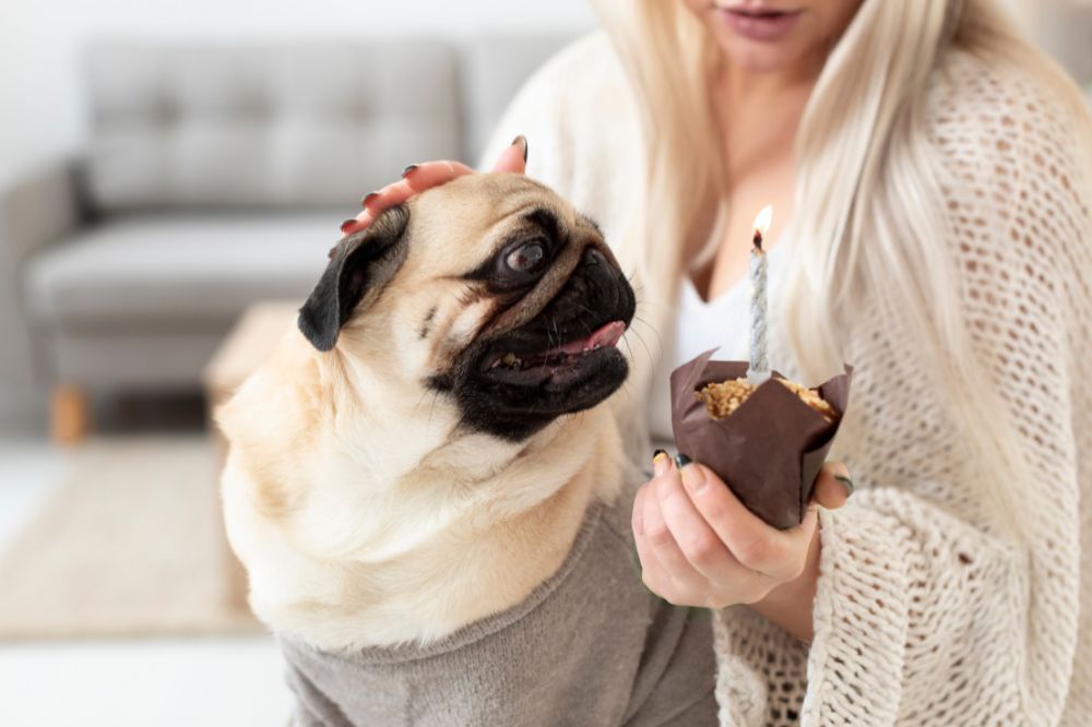 xr:d:DAFkedWn:,j:,t: