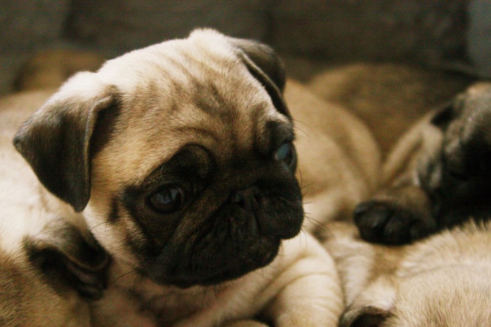 xr:d:DAF ENHrNNs:,j:,t: