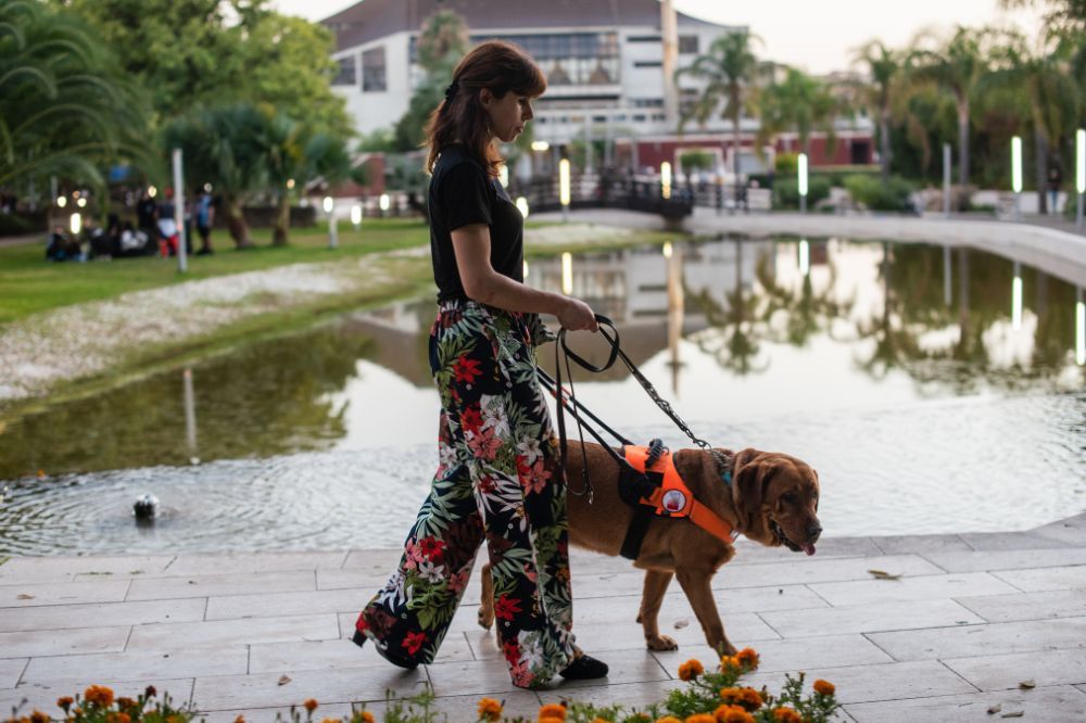 Derechos de acceso de los perros de servicio