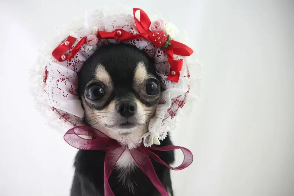 xr:d:DAF oEsXYY:,j:,t: