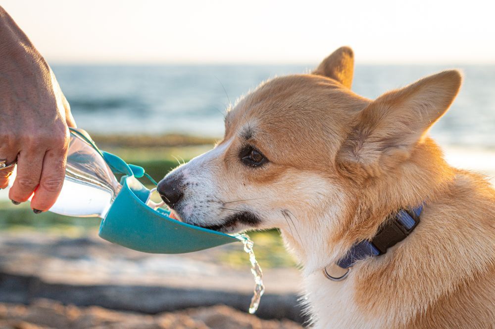 Despues del senderismo jpg