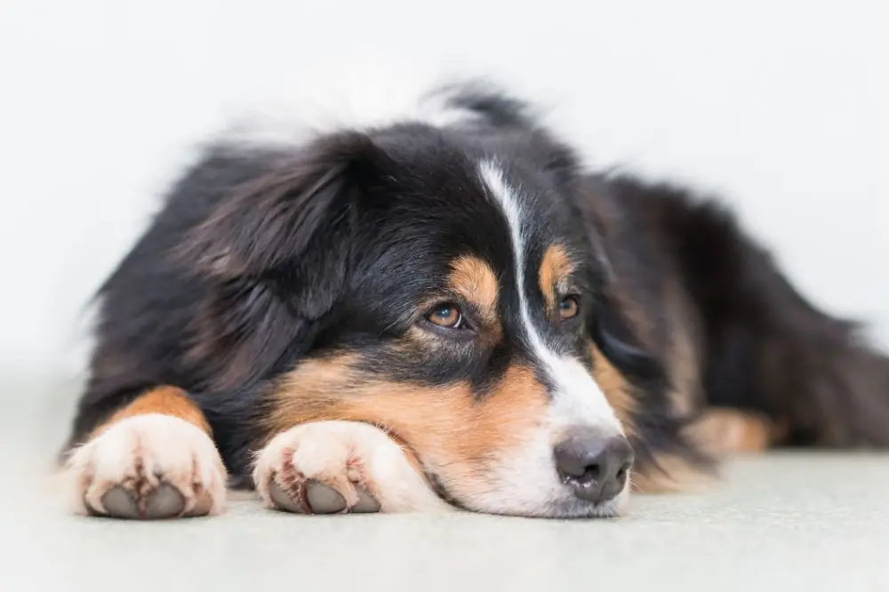 El papel de la rutina en la reduccion de la ansiedad