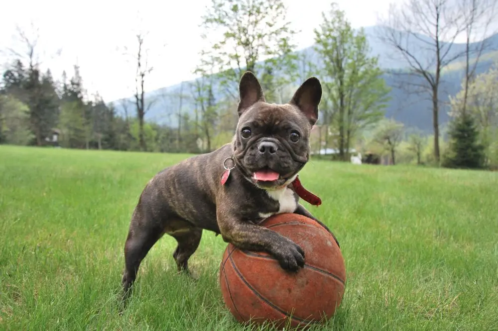 Establecer horarios de juego