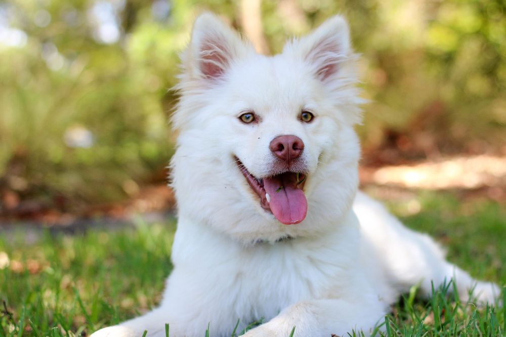 Establecimiento de limites y normas claras