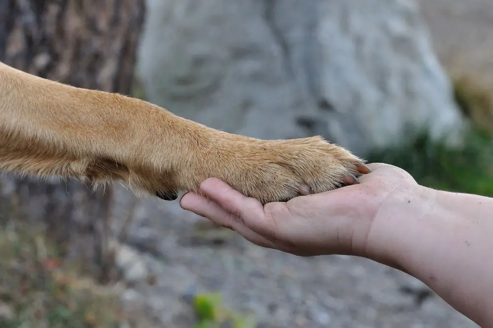 Importancia de la paciencia y la consistencia