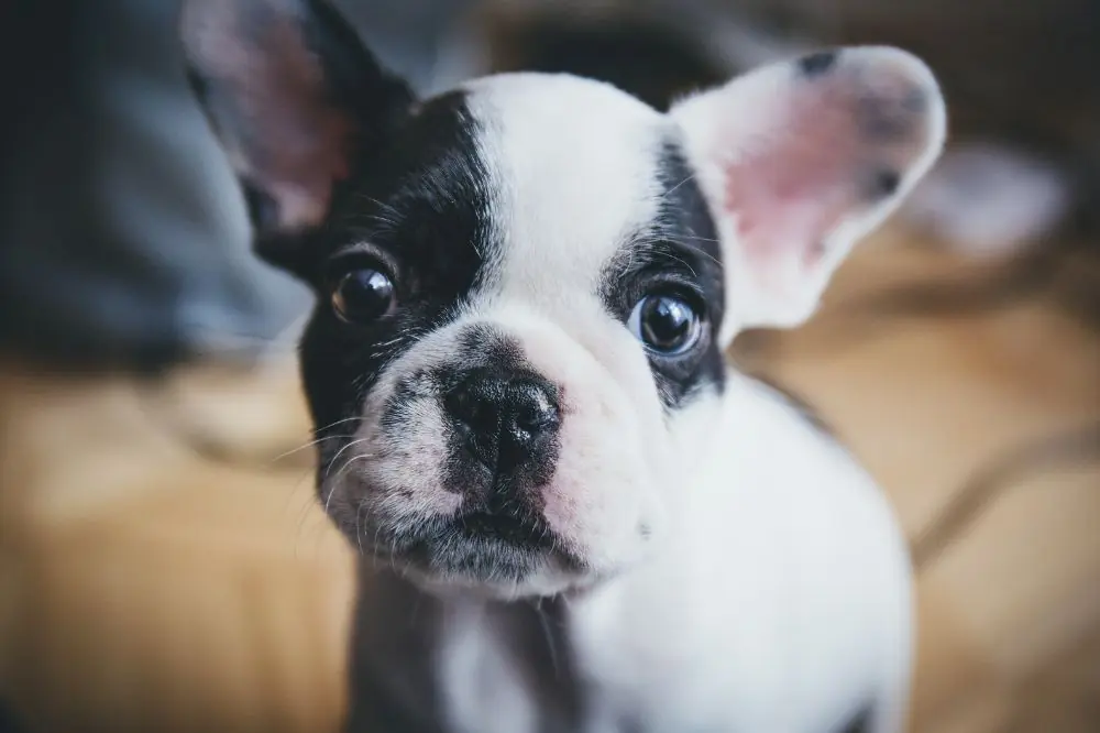 xr:d:DAF ByVgwY:,j:,t: