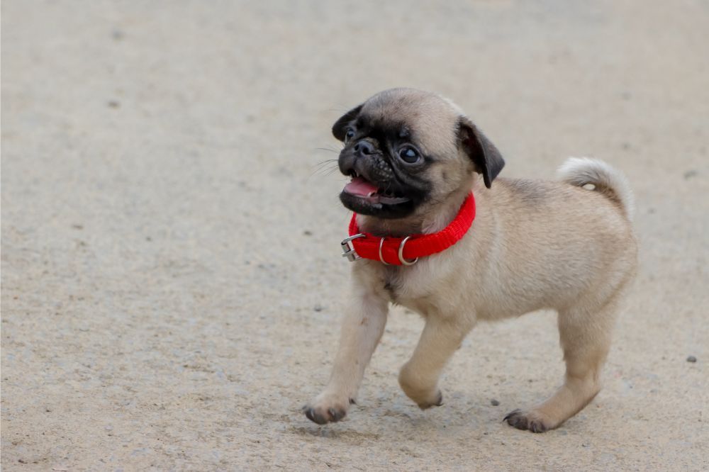 xr:d:DAF ENHrNNs:,j:,t: