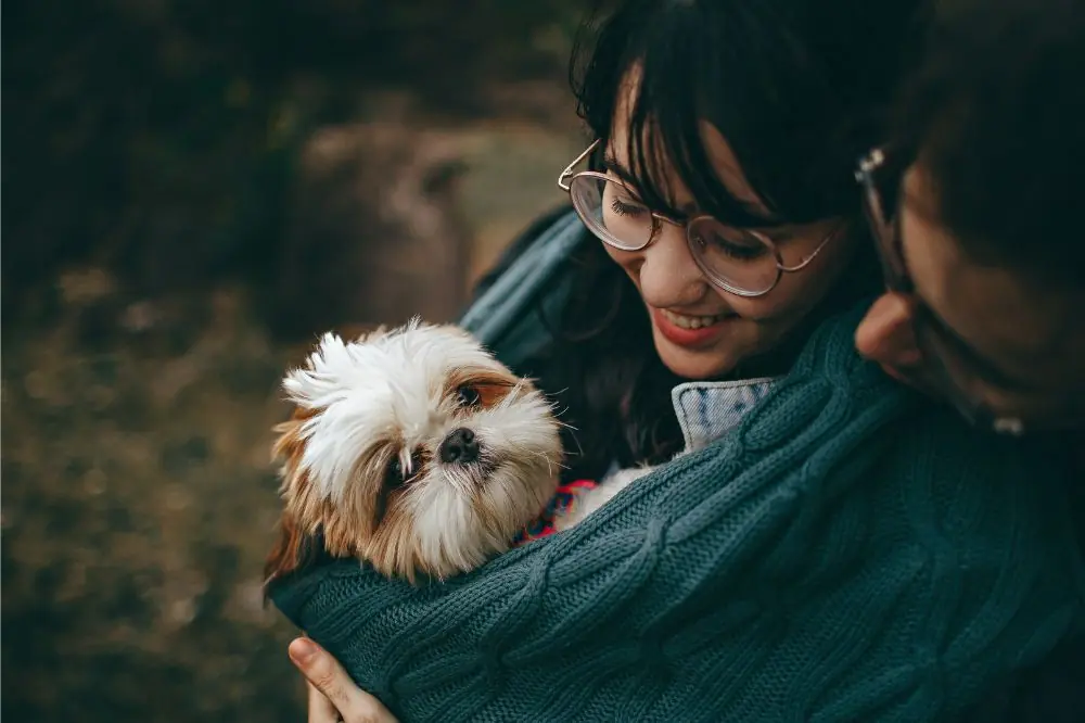 xr:d:DAF QpqcA:,j:,t: