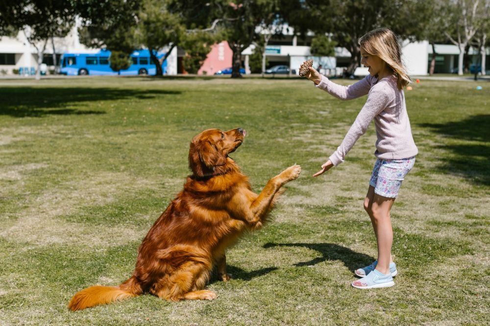 Sintomas asociados con el consumo de tierra