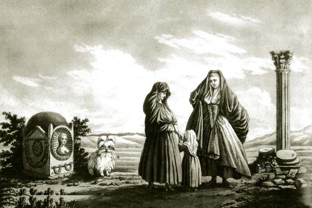 bichon maltais vieille photo