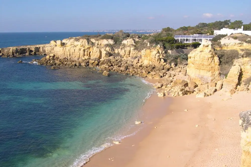 Playas para perros en Pontevedra