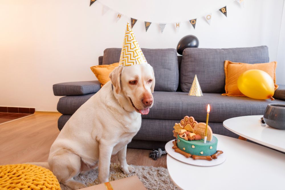 Actividades y juegos