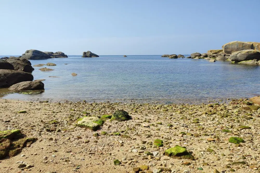 Alimentacion adecuada para tu perro en la playa