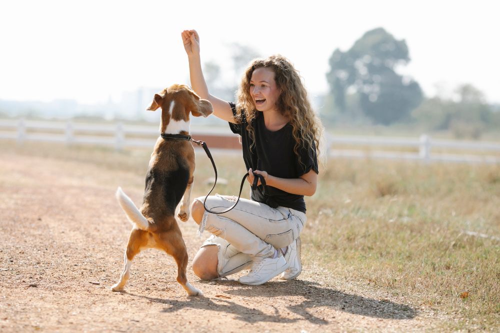 Beneficios sociales del adiestramiento en grupo