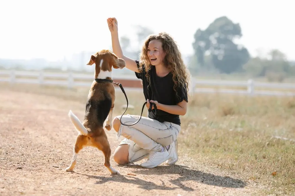 Beneficios sociales del adiestramiento en grupo
