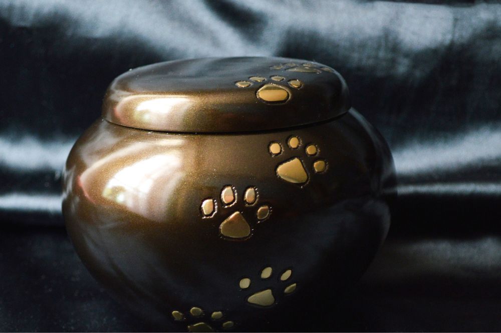 Comprendiendo el duelo por la perdida perro