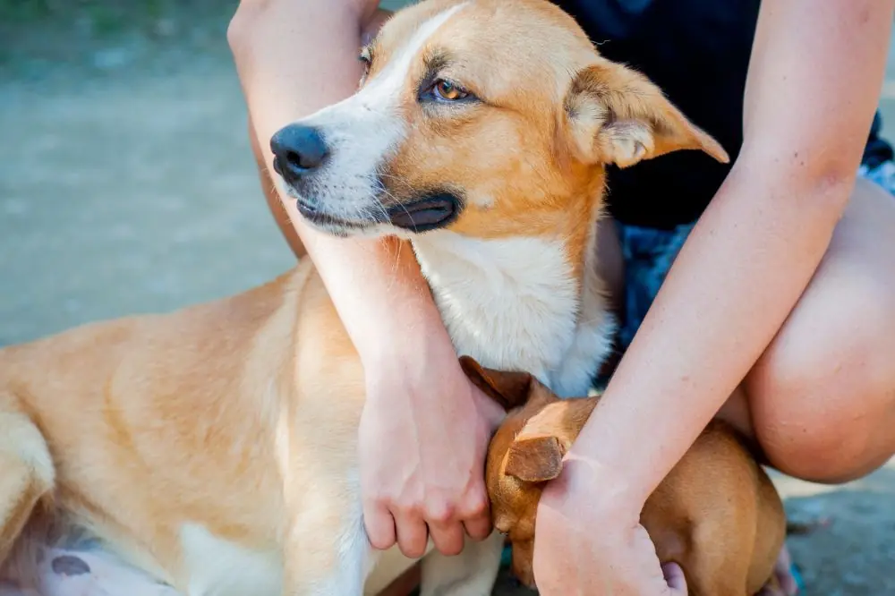 Establecer una rutina de ejercicios basica