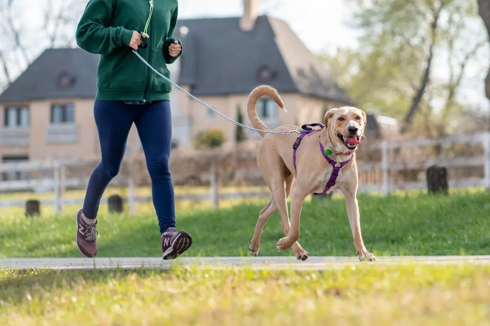 Frecuencia y duracion del masaje