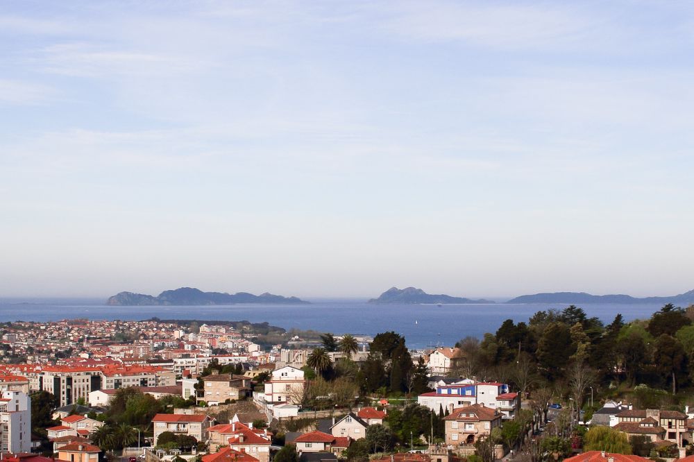 Mejores playas para perros en Pontevedra