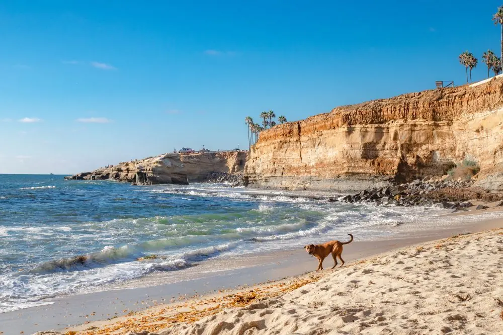 Mejores playas para perros en Tarragona