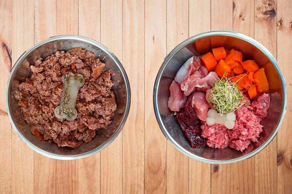 Pourquoi choisir une alimentation fraiche et naturelle berger australien