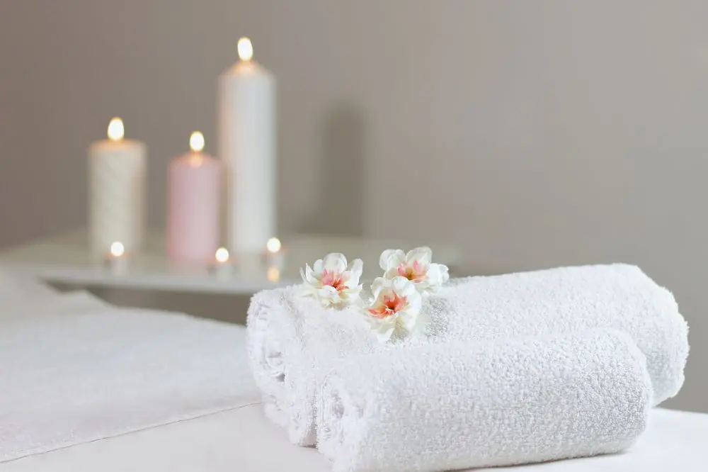 Tipos de masaje canino