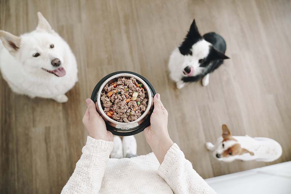 Transition alimentation naturelle