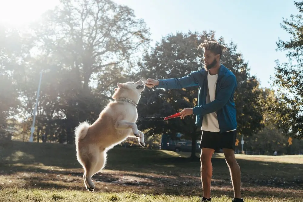 Variedad en el entrenamiento para evitar el aburrimiento