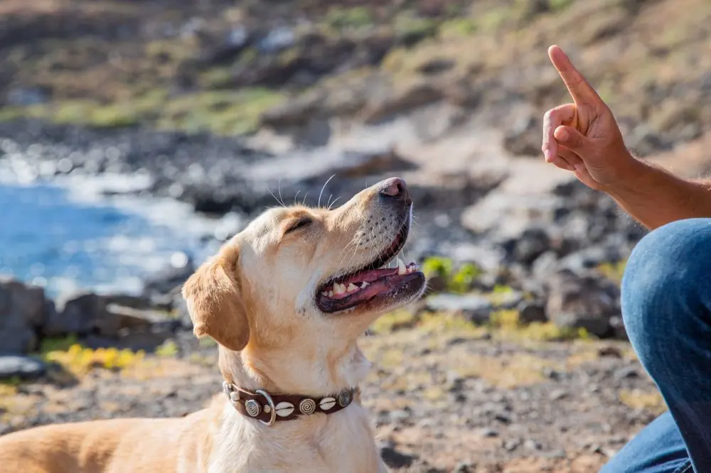 Visitar las clases antes de inscribirse