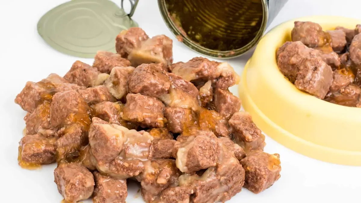 nourriture humide chiens x