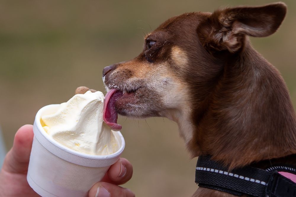 Beneficios nutricionales del helado de plátano y yogur